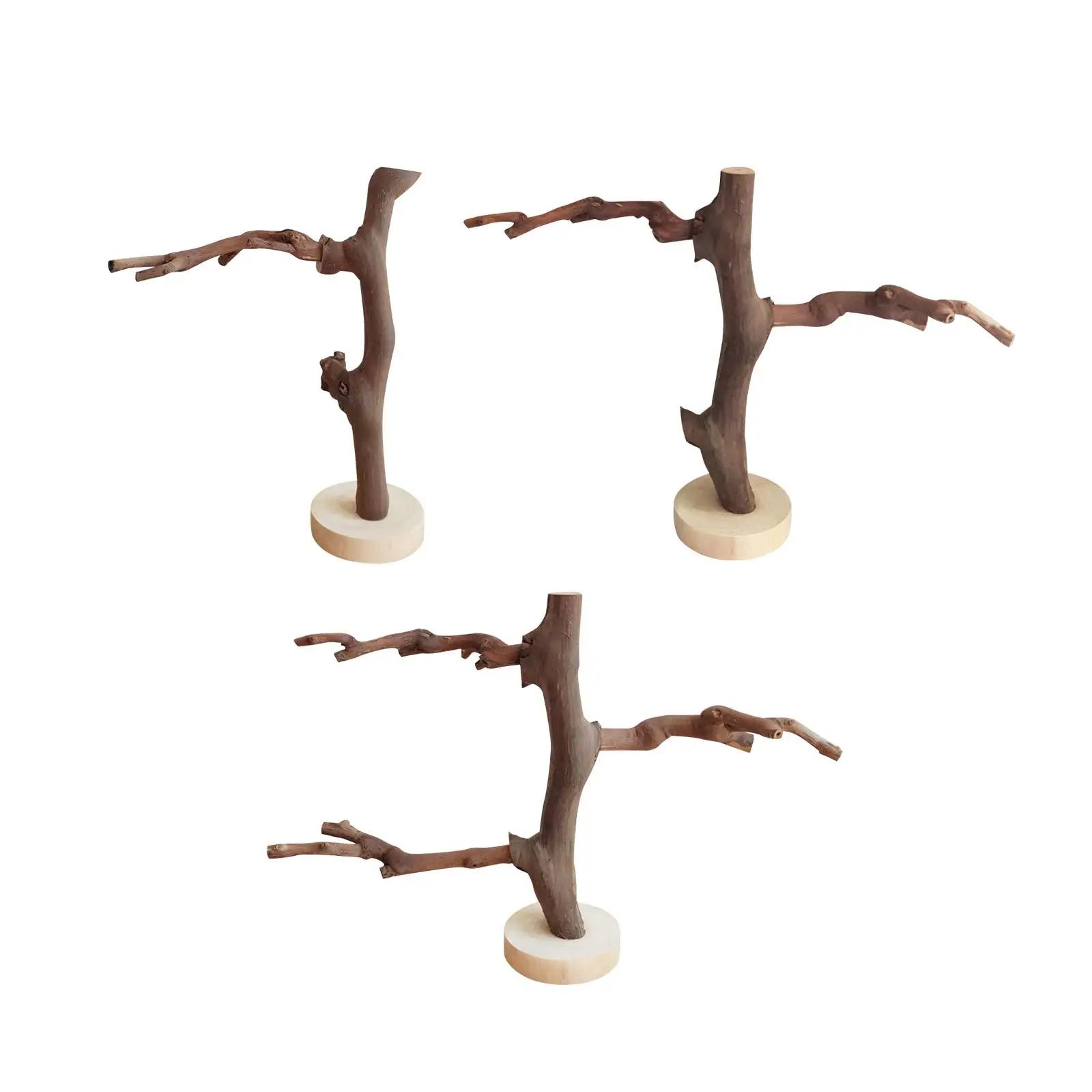 ޴ ưư ޹ ĵ, ߿  ޹ , ޹ Ʒ 峭,  Ź